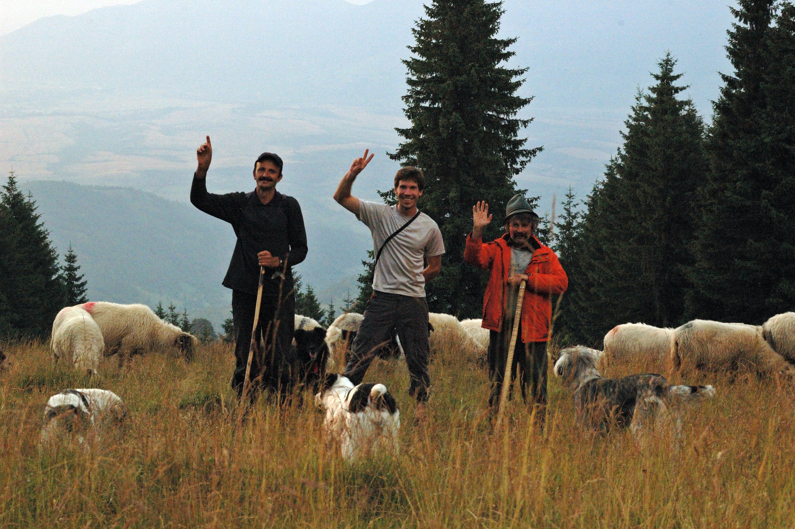 Shephards in the Carpathians