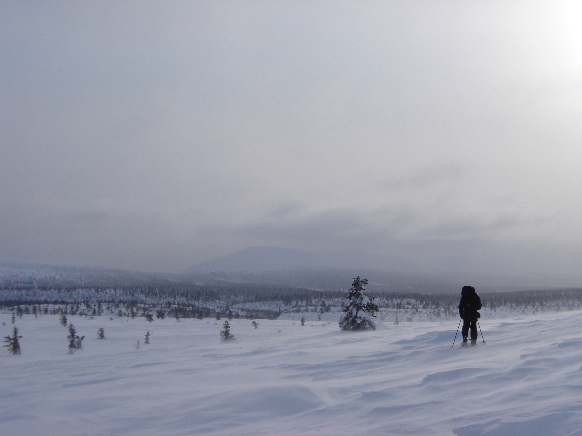 Snowshoe trekking in Lappland